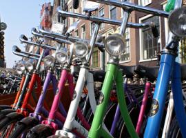 The most popular vehicles in Amsterdam